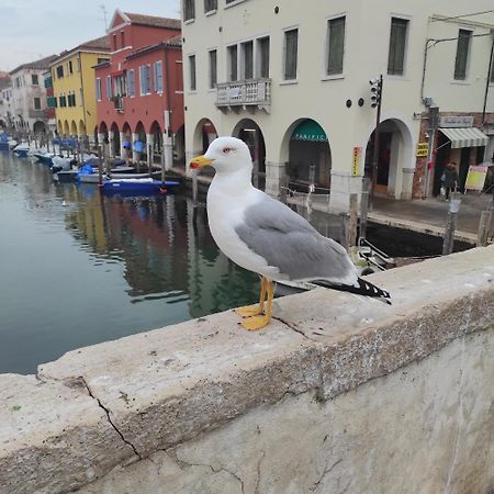 Ca' Dell'Angelo Bed & Breakfast Chioggia Exterior photo